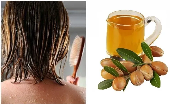 Argan Yağı ile Saç Bakımı: Faydaları ve Kullanım Yöntemleri